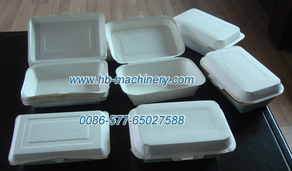 Paper lunch box, Paper dinner case
